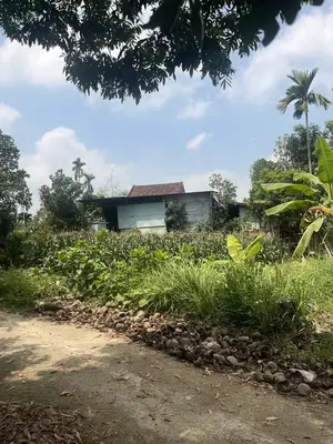 Bán đất Thôn La Bông Hòa Tiến, Hòa Vang – 137,2 m², 1,45 tỷ – ảnh 3