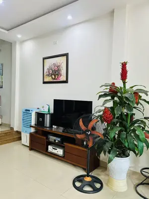 Bán nhà mặt tiền Nguyễn Hàng, Cẩm Lệ – 95 m², 2 tầng, 6,5 tỷ – ảnh 3