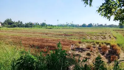 Bán đất Kiệt ĐX19, Cẩm Thanh, Hội An – 107 m², 3,1 tỷ