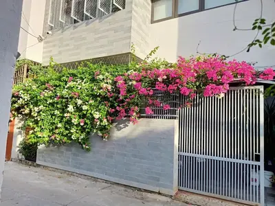 Bán nhà Chế Lan Viên, Ngũ Hành Sơn – 90 m², 2 tầng, 12,5 tỷ – ảnh 2