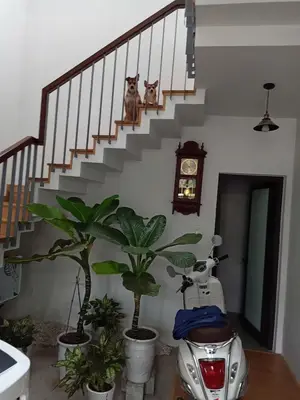 Bán nhà Chế Lan Viên, Ngũ Hành Sơn – 90 m², 2 tầng, 12,5 tỷ – ảnh 8