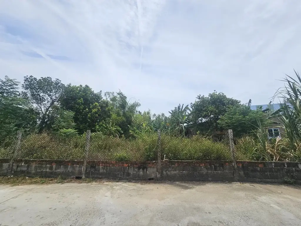 Bán đất Tân Hạnh, Cẩm Lệ – 120 m², 1,75 tỷ – ảnh 2