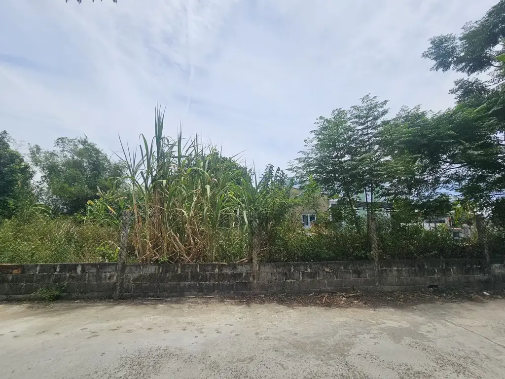 Bán đất Tân Hạnh, Cẩm Lệ – 120 m², 1,75 tỷ – ảnh 3