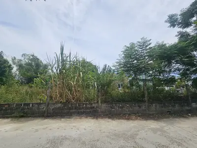 Bán đất Tân Hạnh, Cẩm Lệ – 120 m², 1,75 tỷ – ảnh 3