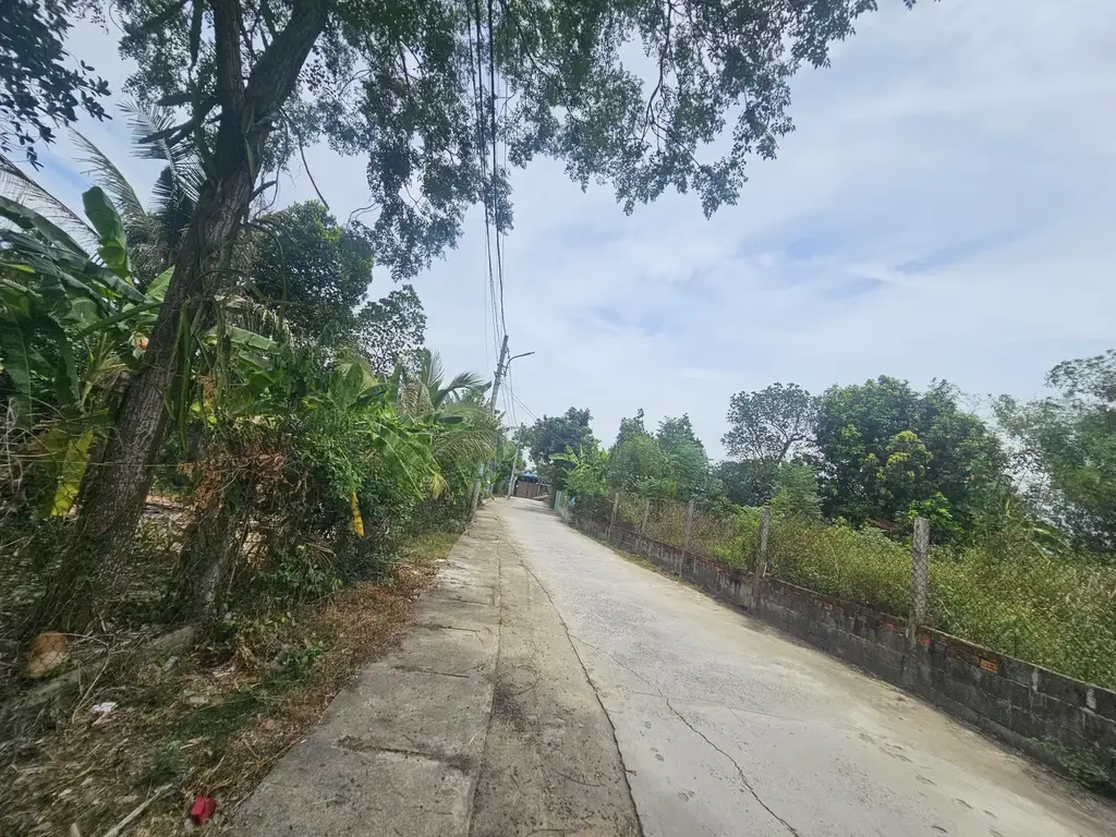 Bán đất Tân Hạnh, Cẩm Lệ – 120 m², 1,75 tỷ – ảnh 5