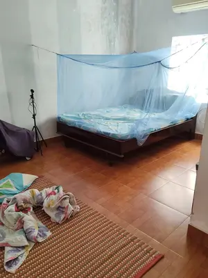 Bán nhà mặt tiền Lý Thái Tổ, Hội An – 102 m², 2 tầng, 8,5 tỷ – ảnh 2