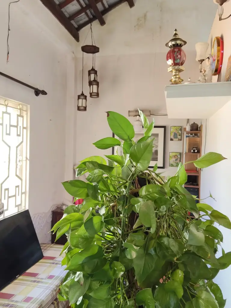 Bán nhà mặt tiền Lý Thái Tổ, Hội An – 102 m², 2 tầng, 8,5 tỷ – ảnh 3