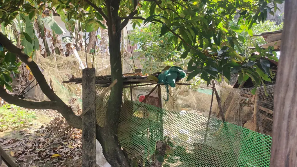 Bán đất mặt tiền XXXThôn Hà Nha xã Đại Đồng Đại Lộc, Quảng Nam (khu khác) – 102 m², 900 triệu – ảnh 4