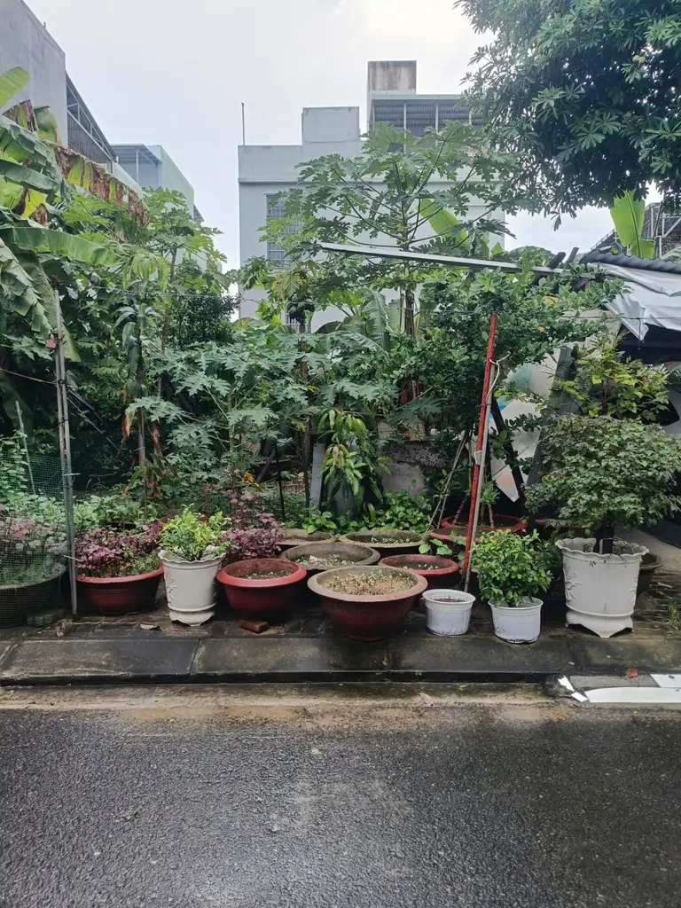 Bán đất Hà Đông 3, Thanh Khê – 96 m², 6,5 tỷ – ảnh 5