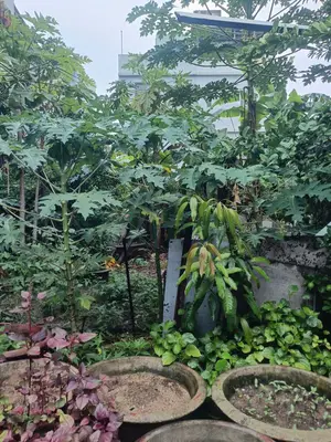 Bán đất Hà Đông 3, Thanh Khê – 96 m², 6,5 tỷ – ảnh 6
