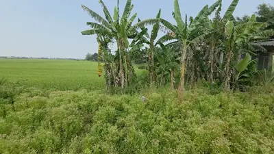 Bán đất Duy Vinh, Duy Xuyên – 1.646 m², 5,5 tỷ