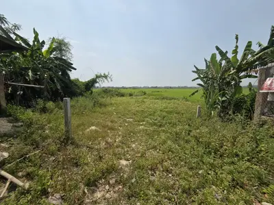 Bán đất Duy Vinh, Duy Xuyên – 1.646 m², 5,5 tỷ – ảnh 4