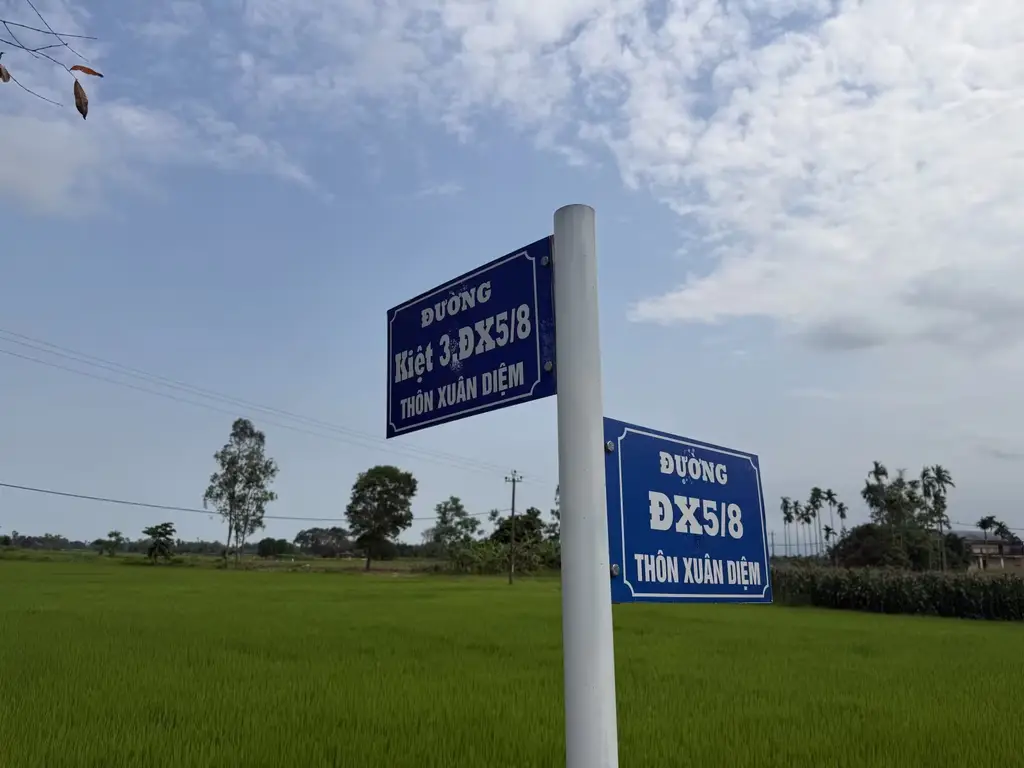 Bán đất Thôn Xuân Diệm Điện Tiến, Quảng Nam (khu khác) – 100,9 m², 950 triệu – ảnh 4