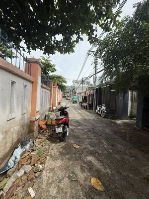 Bán nhà cấp 4 mặt tiền Nguyễn Phan Vinh, Sơn Trà – 423 m², 24,5 tỷ – ảnh 2