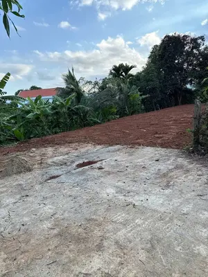 Bán đất Thôn Diêu Phong Xã Hòa Nhơn, Hòa Vang – 413 m², 2 tỷ – ảnh 5
