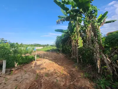 Bán đất Thôn Diêu Phong Xã Hòa Nhơn, Hòa Vang – 413 m², 2 tỷ – ảnh 10