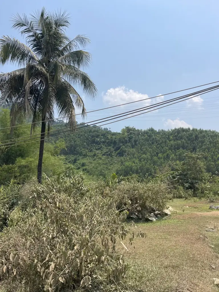 Bán đất mặt tiền Thôn Bến Giằng huyện Nam Giang, Quảng Nam (khu khác) – 75 m², 550 triệu – ảnh 3