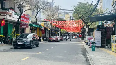 Bán nhà mặt tiền Phạm Cự Lượng, Sơn Trà – 466 m², 1 tầng, 55 tỷ – ảnh 2