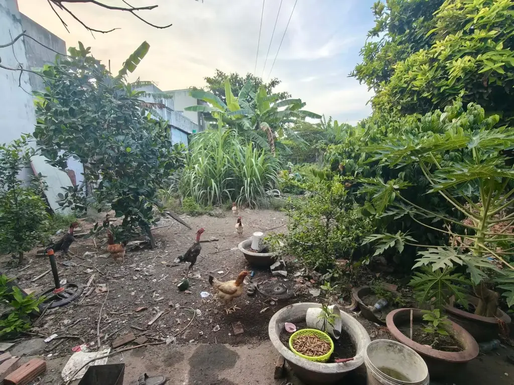 Bán nhà cấp 4 mặt tiền Tôn Đản, Cẩm Lệ – 95 m², 7,65 tỷ – ảnh 4