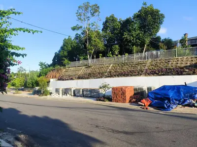 Bán đất mặt tiền Tôn Đản, Cẩm Lệ – 525 m², 19 tỷ – ảnh 2