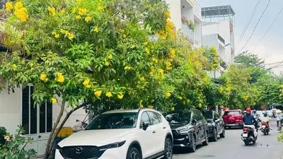 Bán nhà mặt tiền Mỹ Đa Đông 8, Ngũ Hành Sơn – 78,3 m², 3 tầng, 10,5 tỷ – ảnh 6