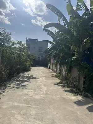 Bán đất Quang Châu – Hòa Xuân Mới, Cẩm Lệ – 146 m², 2,5 tỷ – ảnh 2