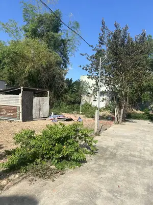 Bán đất Quang Châu – Hòa Xuân Mới, Cẩm Lệ – 146 m², 2,5 tỷ – ảnh 8