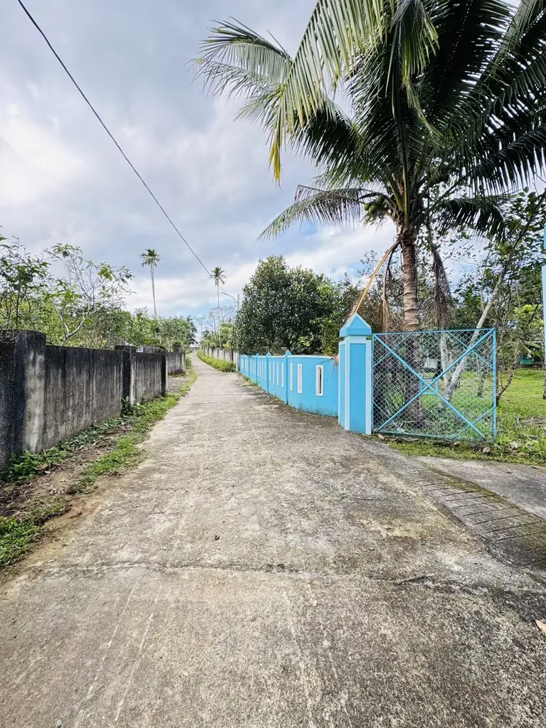 Bán đất Thôn Hòa Trung Hòa Ninh, Hòa Vang – 2.334 m², 6,95 tỷ – ảnh 2