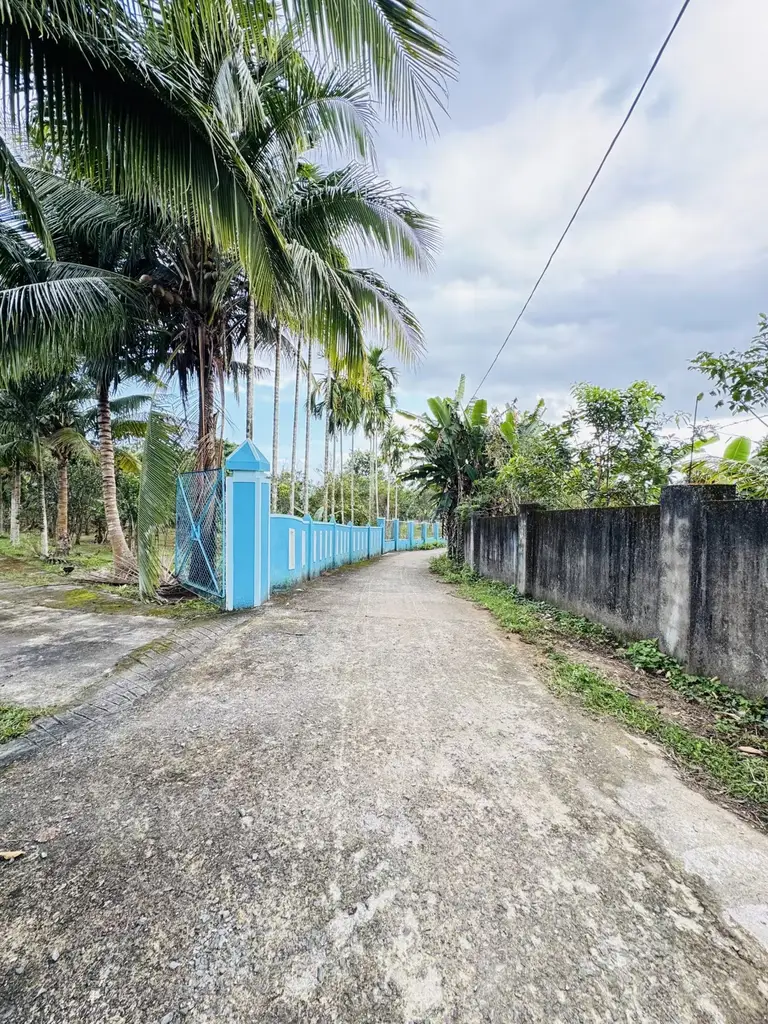 Bán đất Thôn Hòa Trung Hòa Ninh, Hòa Vang – 2.334 m², 6,95 tỷ – ảnh 3