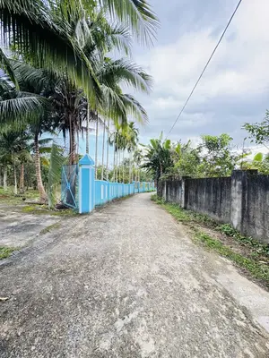Bán đất Thôn Hòa Trung Hòa Ninh, Hòa Vang – 2.334 m², 6,95 tỷ – ảnh 3