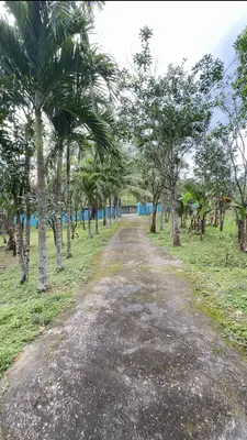 Bán đất Thôn Hòa Trung Hòa Ninh, Hòa Vang – 2.334 m², 6,95 tỷ – ảnh 4