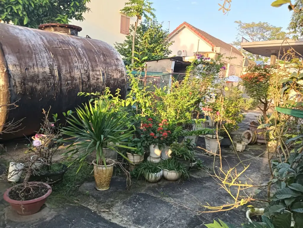 Bán nhà cấp 4 mặt tiền Trần Hưng Đạo, Hội An – 564,9 m², 18,5 tỷ – ảnh 2