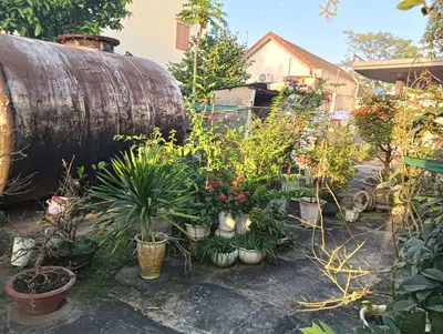 Bán nhà cấp 4 mặt tiền Trần Hưng Đạo, Hội An – 564,9 m², 18,5 tỷ – ảnh 2