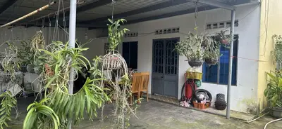 Bán nhà cấp 4 mặt tiền Trần Hưng Đạo, Hội An – 564,9 m², 18,5 tỷ – ảnh 3