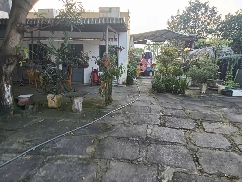 Bán nhà cấp 4 mặt tiền Trần Hưng Đạo, Hội An – 564,9 m², 18,5 tỷ – ảnh 5