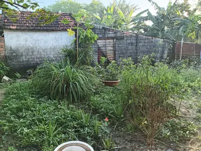Bán nhà cấp 4 mặt tiền Trần Hưng Đạo, Hội An – 564,9 m², 18,5 tỷ – ảnh 6