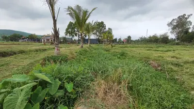 Bán đất Xã Hòa Khương, Hòa Vang – 722 m², 1,5 tỷ – ảnh 4