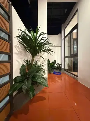 Bán nhà cấp 4 Dương Sơn Hòa Xuân mới, Cẩm Lệ – 81 m², 2,95 tỷ