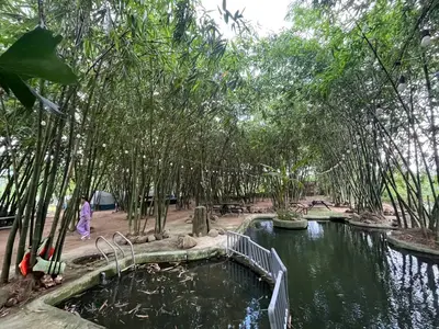 Bán đất mặt tiền Thôn Nam Yên Xã Hòa Bắc, Hòa Vang – 1.263 m², 4,3 tỷ – ảnh 3