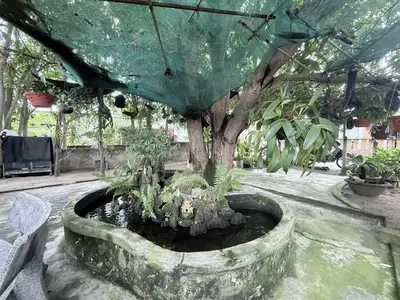 Bán nhà cấp 4 Hà Quảng Bắc, Hội An – 1.160 m², 31 tỷ – ảnh 4