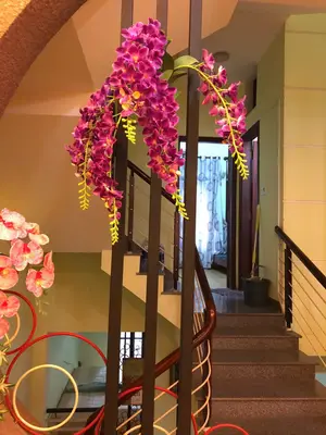 Bán nhà mặt tiền Lê Tấn Toán, Sơn Trà – 90 m², 3 tầng, 18,5 tỷ – ảnh 12