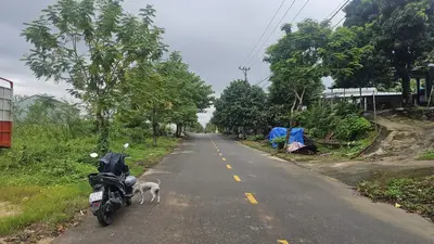 Bán đất Phan Thêm, Hòa Sơn, Liên Chiểu – 100 m², 2,65 tỷ
