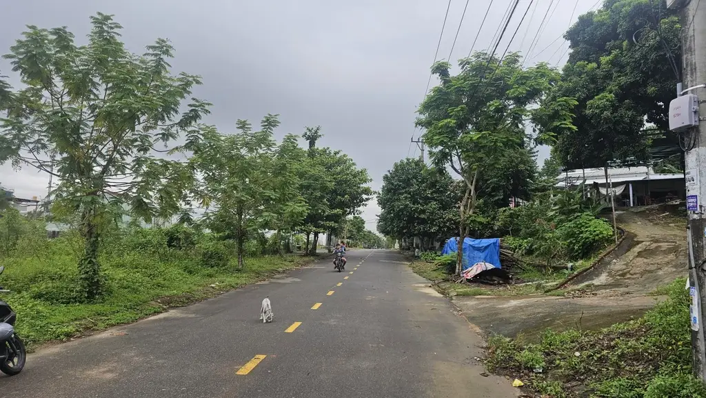 Bán đất Phan Thêm, Hòa Sơn, Liên Chiểu – 100 m², 2,65 tỷ – ảnh 3